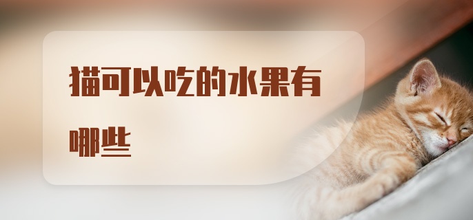 猫可以吃的水果有哪些