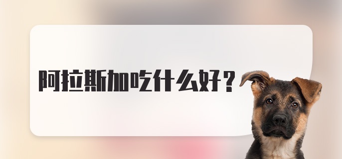 阿拉斯加吃什么好？