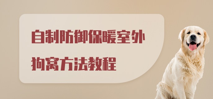 自制防御保暖室外狗窝方法教程