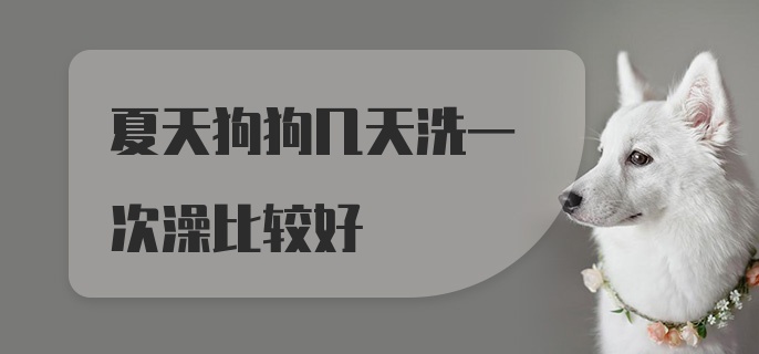 夏天狗狗几天洗一次澡比较好