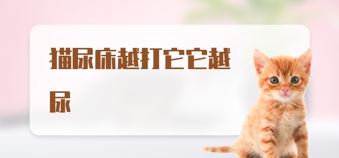 猫尿床越打它它越尿