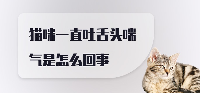 猫咪一直吐舌头喘气是怎么回事