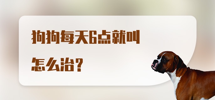 狗狗每天6点就叫怎么治？