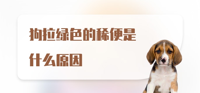 狗拉绿色的稀便是什么原因