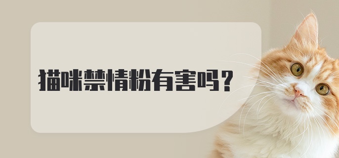 猫咪禁情粉有害吗？