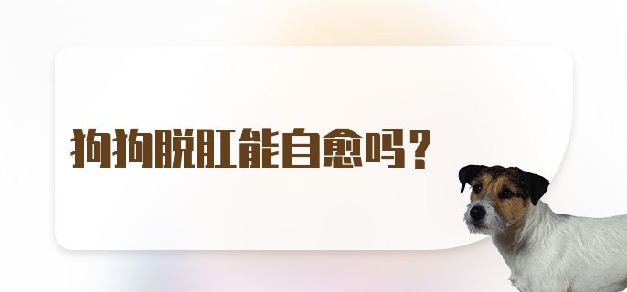 狗狗脱肛能自愈吗?