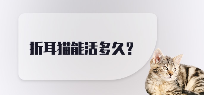 折耳猫能活多久？