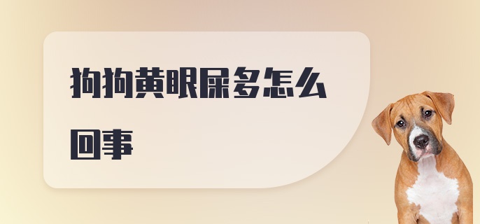 狗狗黄眼屎多怎么回事