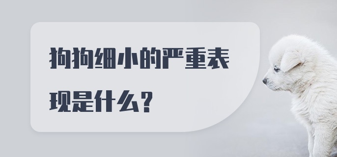 狗狗细小的严重表现是什么?