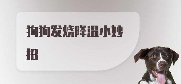 狗狗发烧降温小妙招