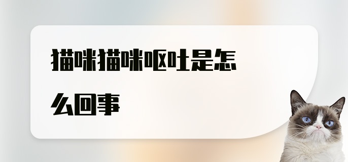 猫咪猫咪呕吐是怎么回事