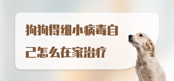 狗狗得细小病毒自己怎么在家治疗