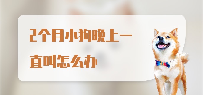 2个月小狗晚上一直叫怎么办