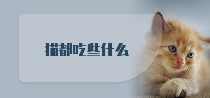 猫都吃些什么