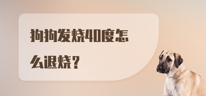 狗狗发烧40度怎么退烧？