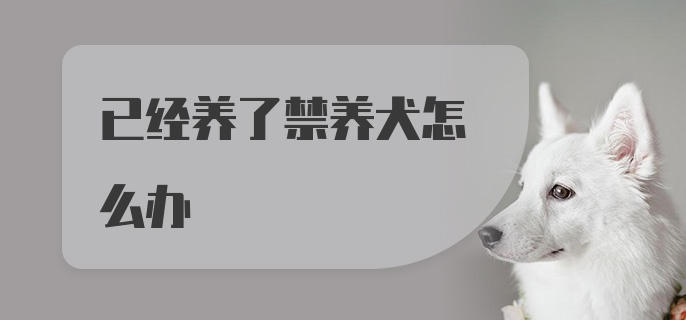 已经养了禁养犬怎么办