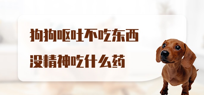 狗狗呕吐不吃东西没精神吃什么药