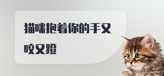 猫咪抱着你的手又咬又蹬