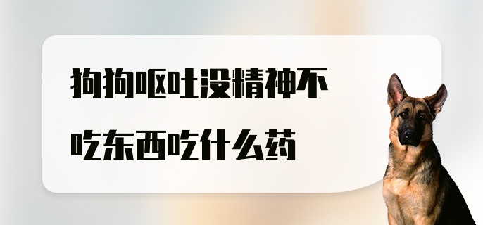 狗狗呕吐没精神不吃东西吃什么药