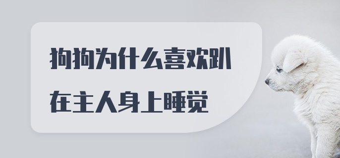 狗狗为什么喜欢趴在主人身上睡觉