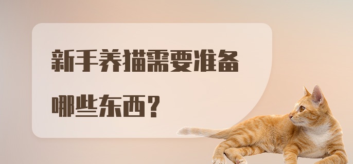 新手养猫需要准备哪些东西？