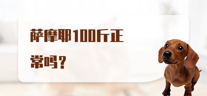 萨摩耶100斤正常吗？