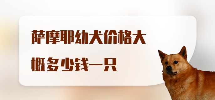 萨摩耶幼犬价格大概多少钱一只