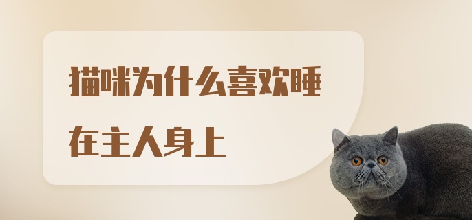 猫咪为什么喜欢睡在主人身上