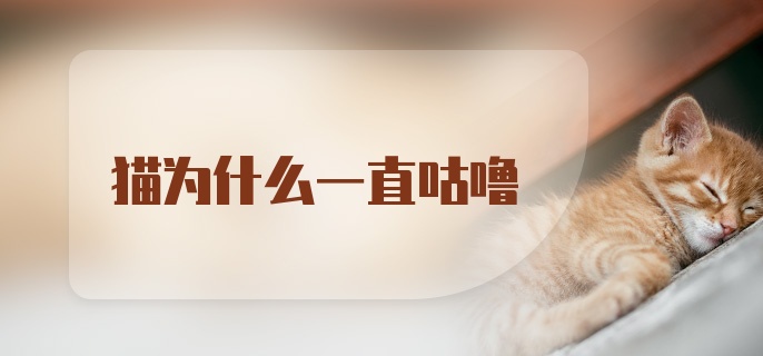 猫为什么一直咕噜