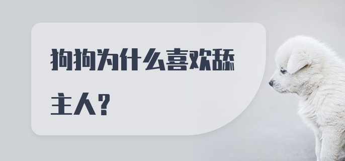 狗狗为什么喜欢舔主人?