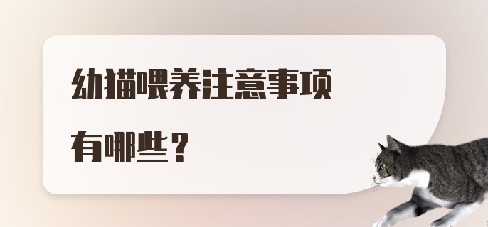 幼猫喂养注意事项有哪些？