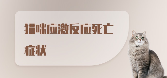 猫咪应激反应死亡症状