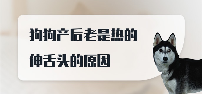 狗狗产后老是热的伸舌头的原因