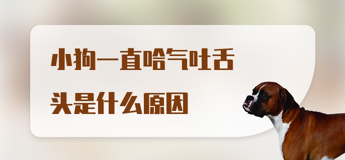 小狗一直哈气吐舌头是什么原因