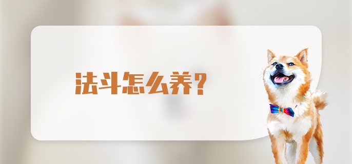 法斗怎么养？