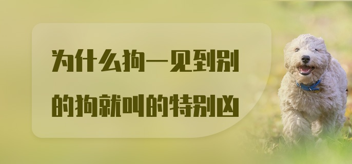 为什么狗一见到别的狗就叫的特别凶