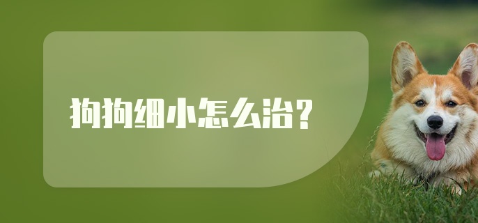 狗狗细小怎么治？