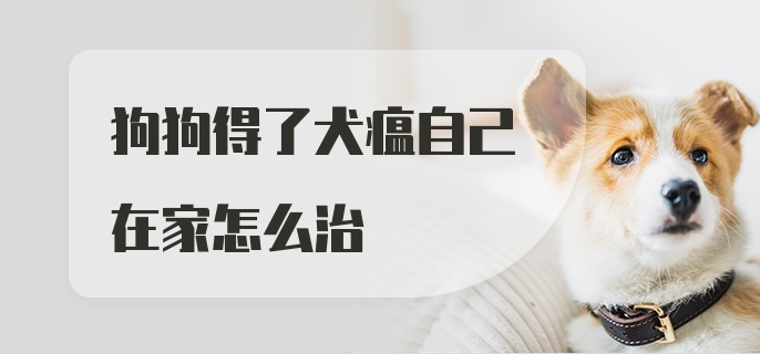 狗狗得了犬瘟自己在家怎么治