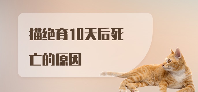 猫绝育10天后死亡的原因