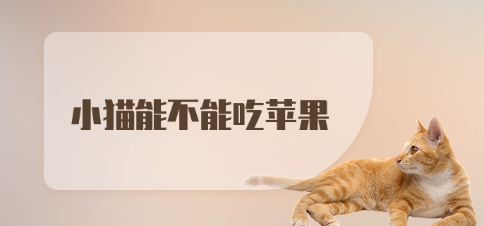 小猫能不能吃苹果