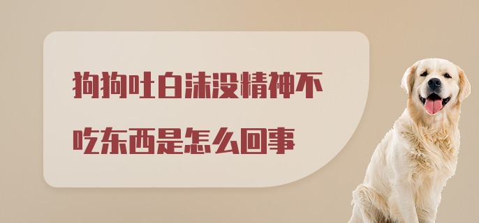 狗狗吐白沫没精神不吃东西是怎么回事