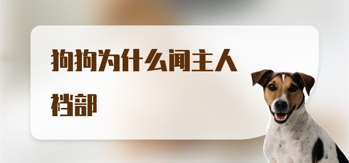 狗狗为什么闻主人裆部