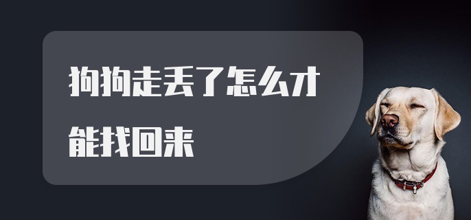 狗狗走丢了怎么才能找回来