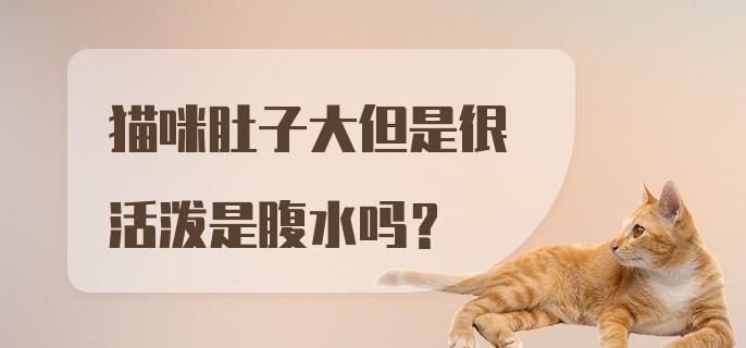 猫咪肚子大但是很活泼是腹水吗？