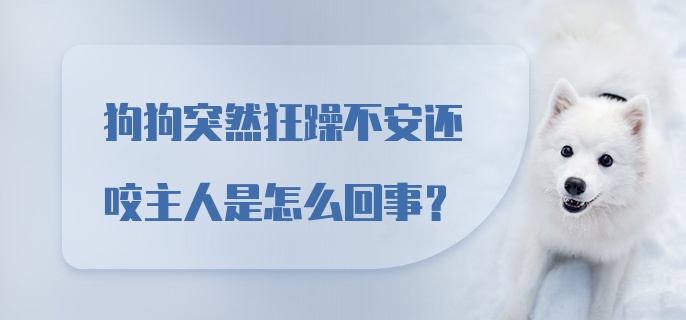 狗狗突然狂躁不安还咬主人是怎么回事？