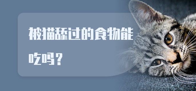 被猫舔过的食物能吃吗？