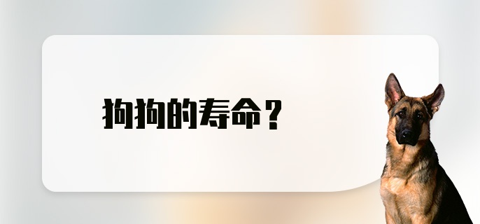 狗狗的寿命?