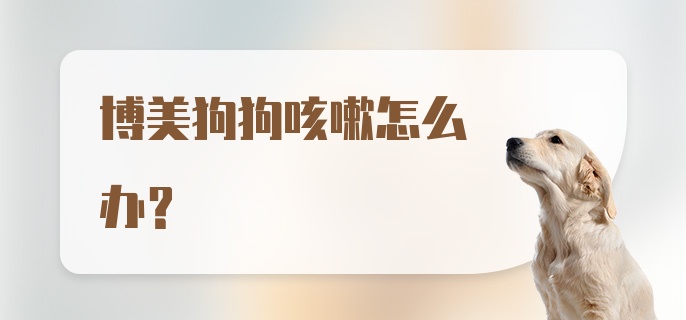 博美狗狗咳嗽怎么办?