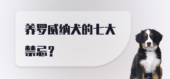 养罗威纳犬的七大禁忌？