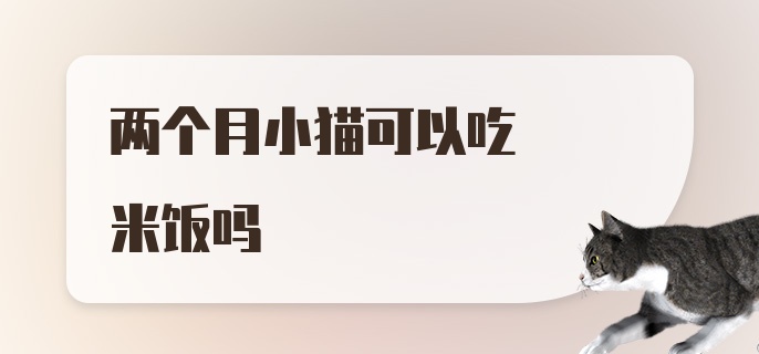 两个月小猫可以吃米饭吗